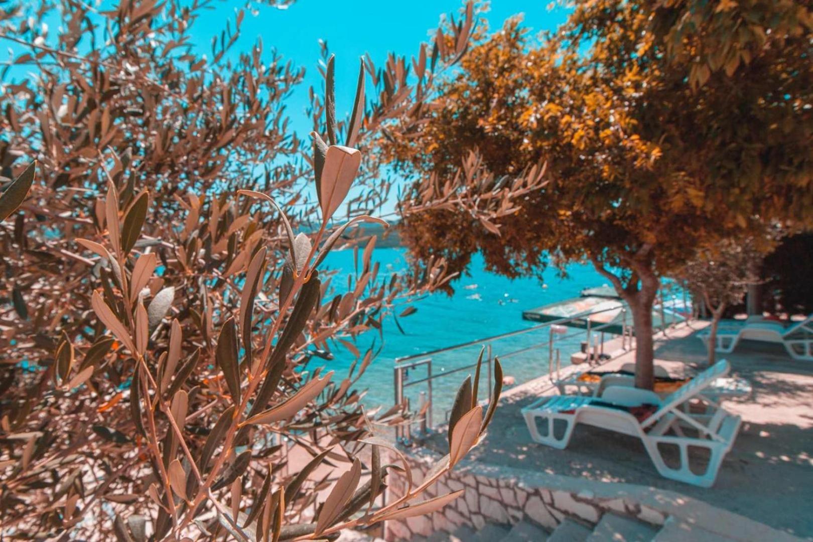 Villa Raguz Sa Privatnom Plazom I Garazom 네움 외부 사진
